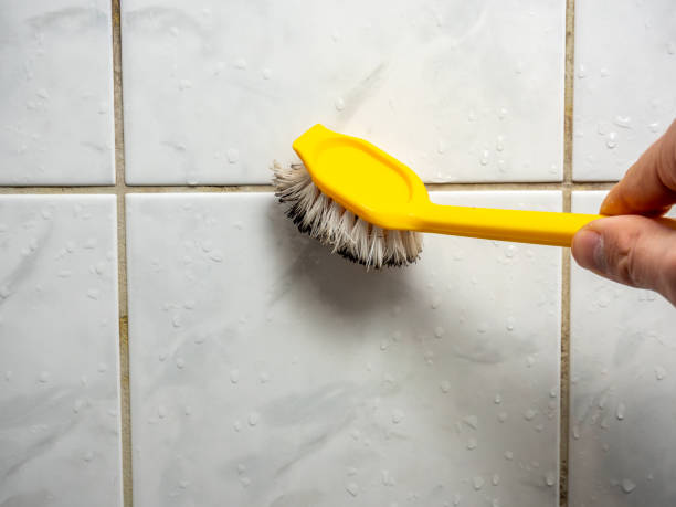 Best Office Mold Removal Services  in Donora, PA