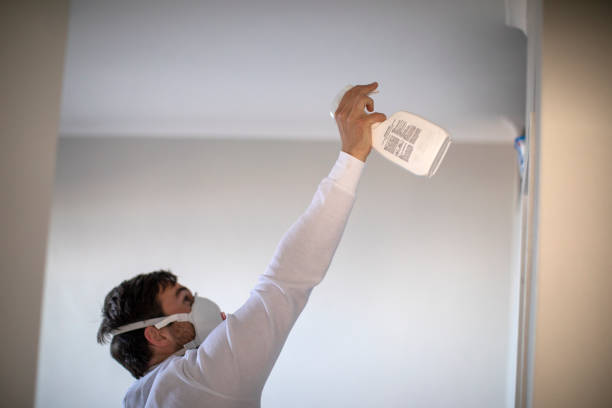 Best Emergency Mold Removal  in Donora, PA